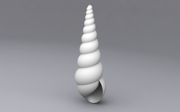Snail Turitella.png